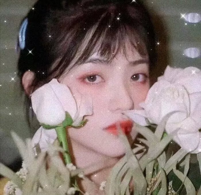 美少女战队海报